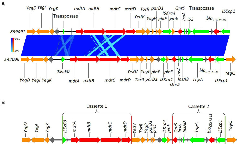 Figure 6