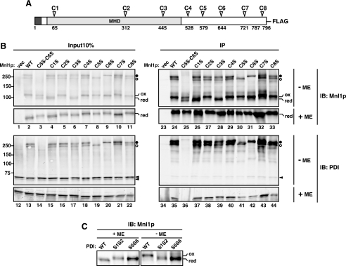 FIGURE 3.