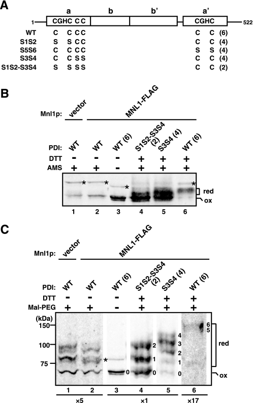 FIGURE 7.