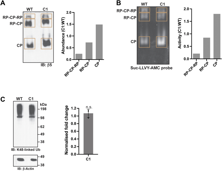 Figure 3