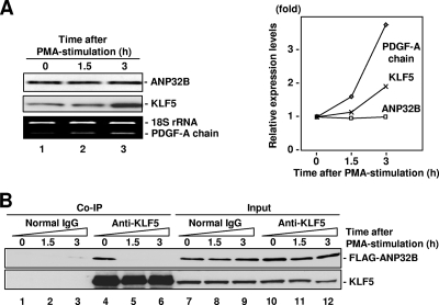 FIG. 6.