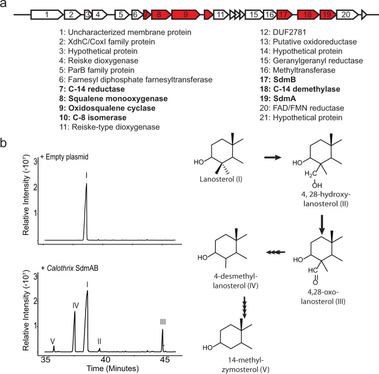 Fig. 4