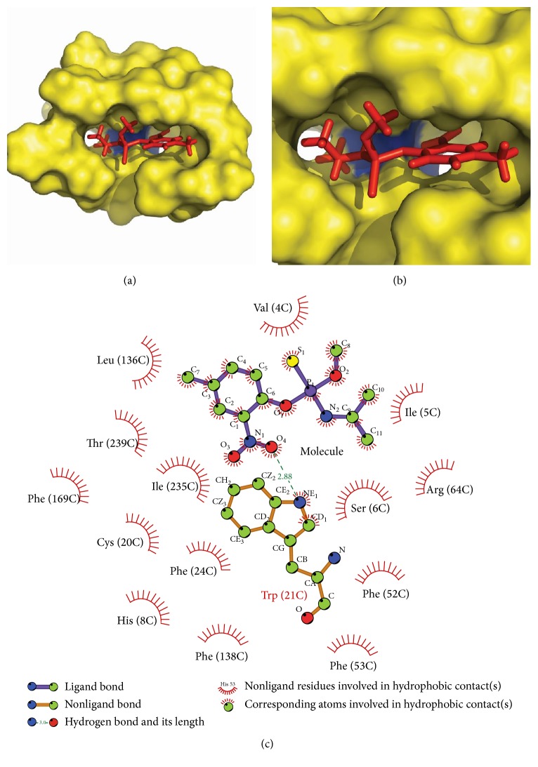 Figure 6