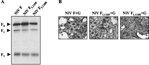 FIG. 6.