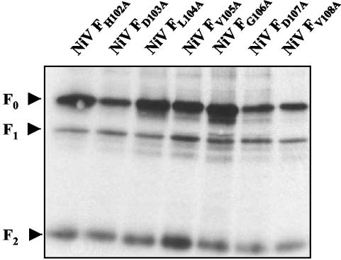 FIG. 5.