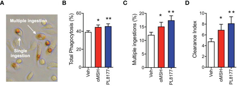 Figure 4