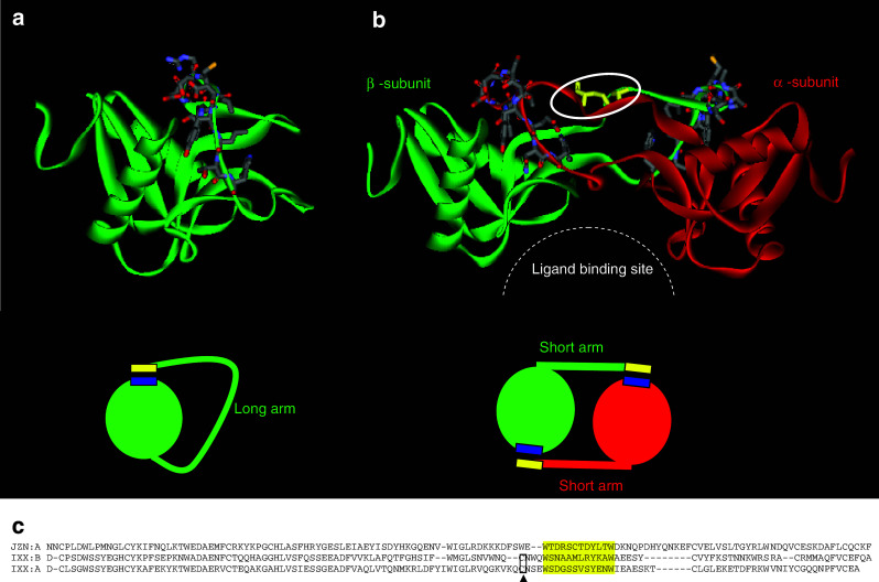 Fig. 11