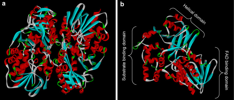 Fig. 8