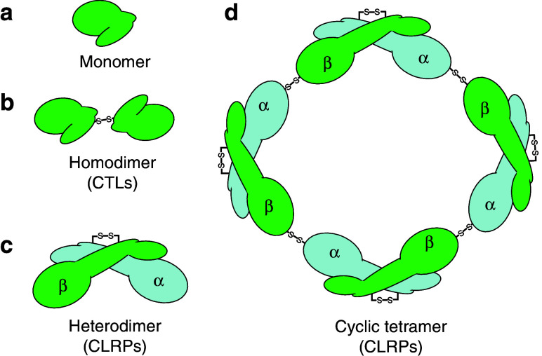 Fig. 9