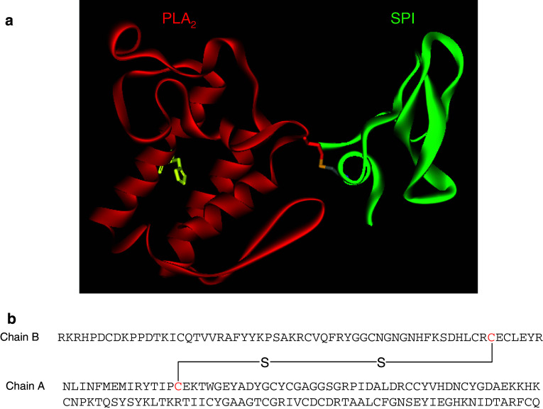 Fig. 2