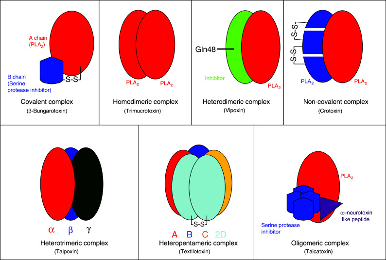 Fig. 1