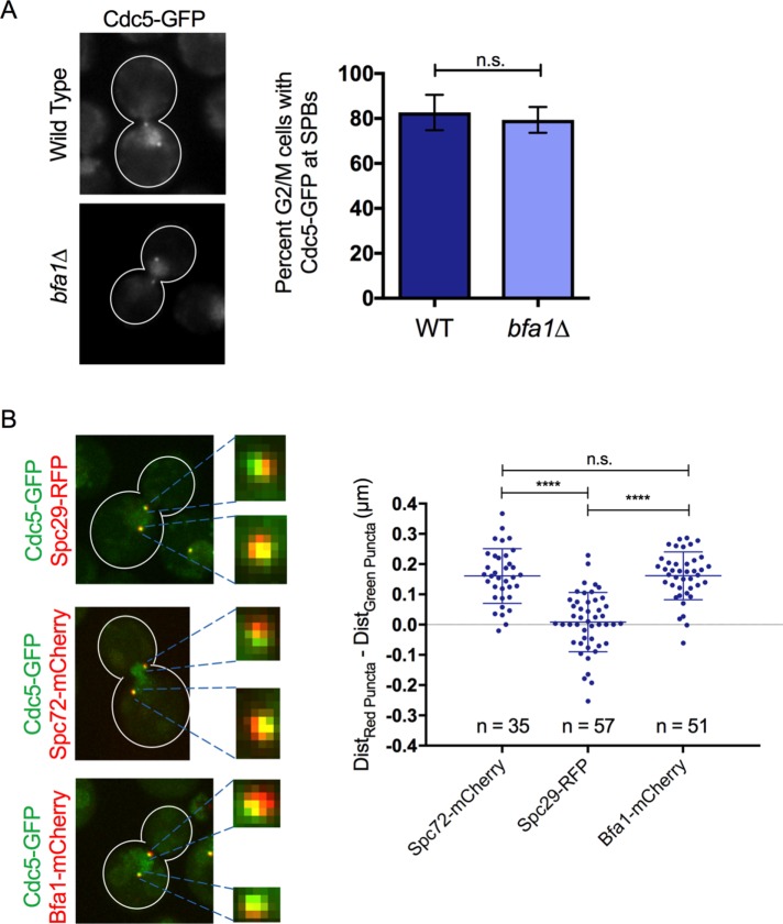 FIGURE 6: