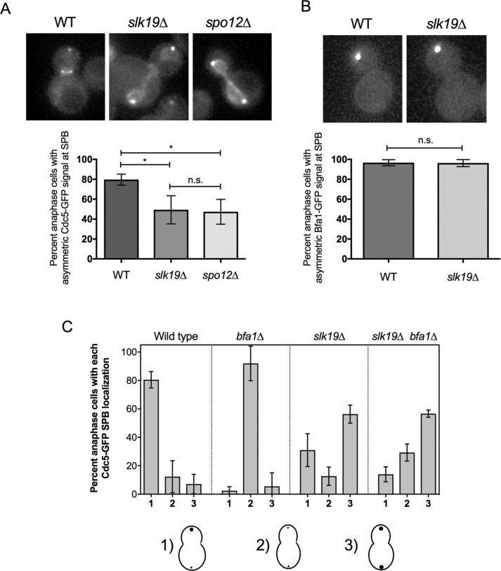 FIGURE 5: