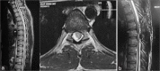 Figure 6:
