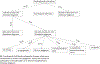 FIGURE 3 |