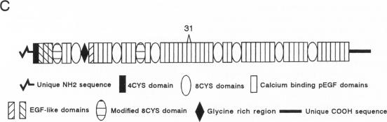 Figure 3c