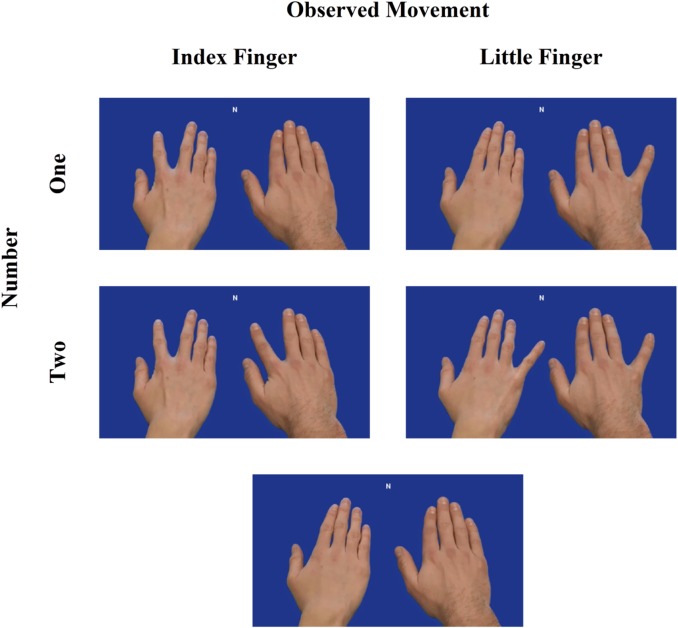 Fig. 1.