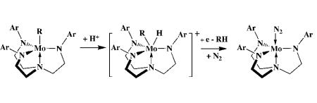 graphic file with name nihms64851e5.jpg