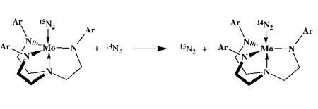 graphic file with name nihms64851e4.jpg