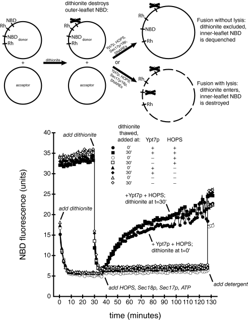 Fig. 3.