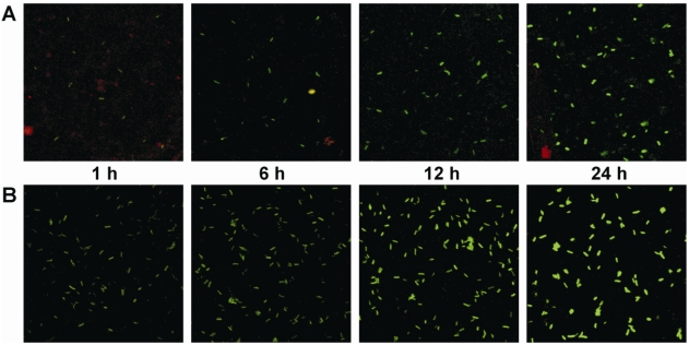 Figure 5.