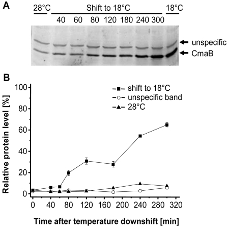 Figure 4.