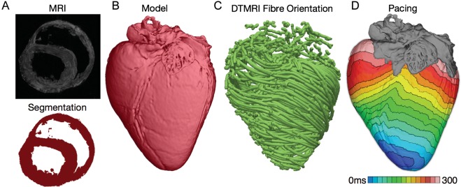 Figure 1