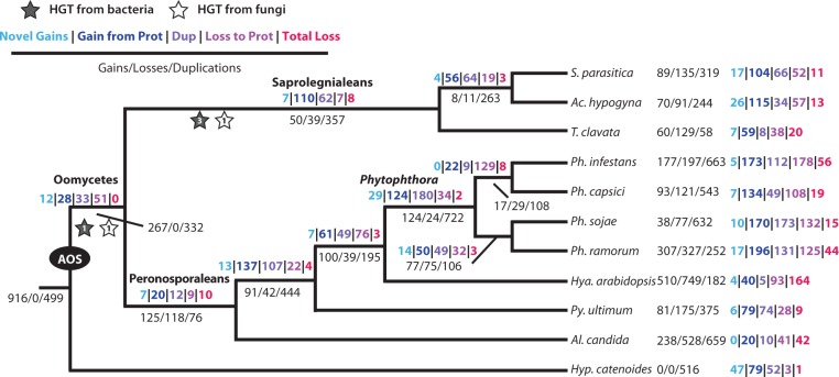 Fig. 1.—