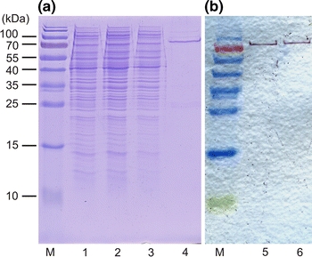 Fig. 3