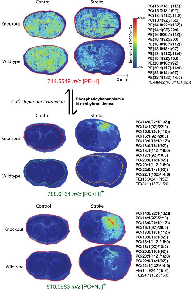 Figure 5.