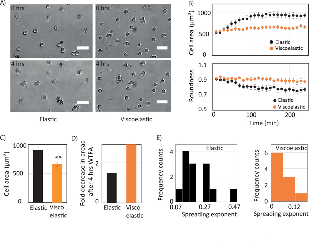 Figure 6: