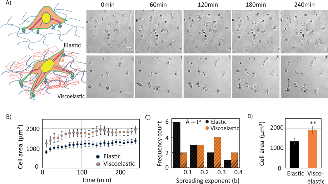 Figure 3: