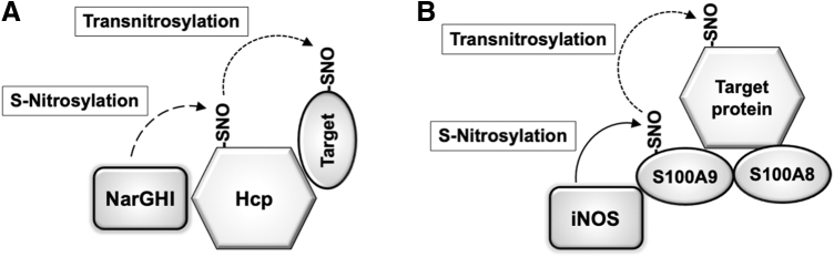 FIG. 6.