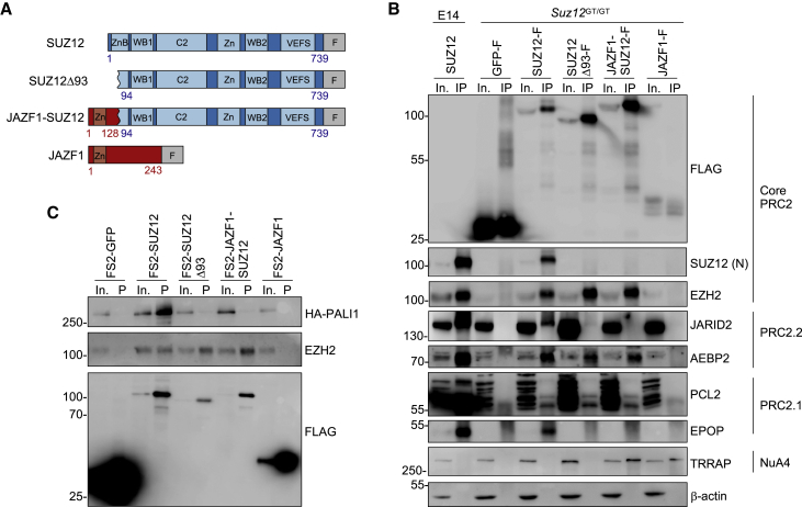 Figure 1