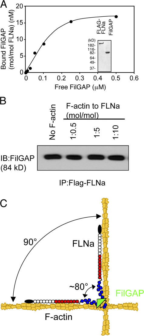 Figure 9.