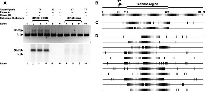 FIG. 6.