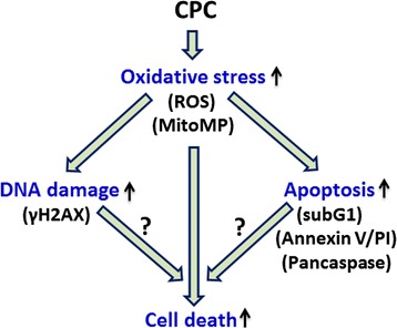 Fig. 8