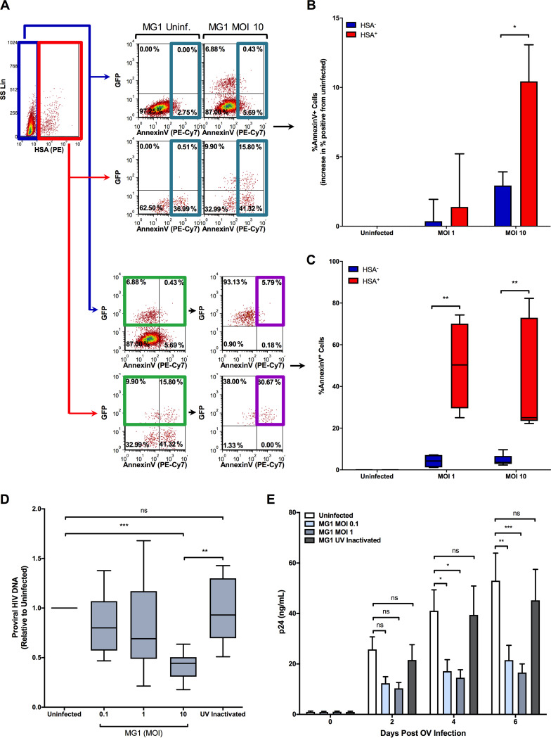 FIG 3