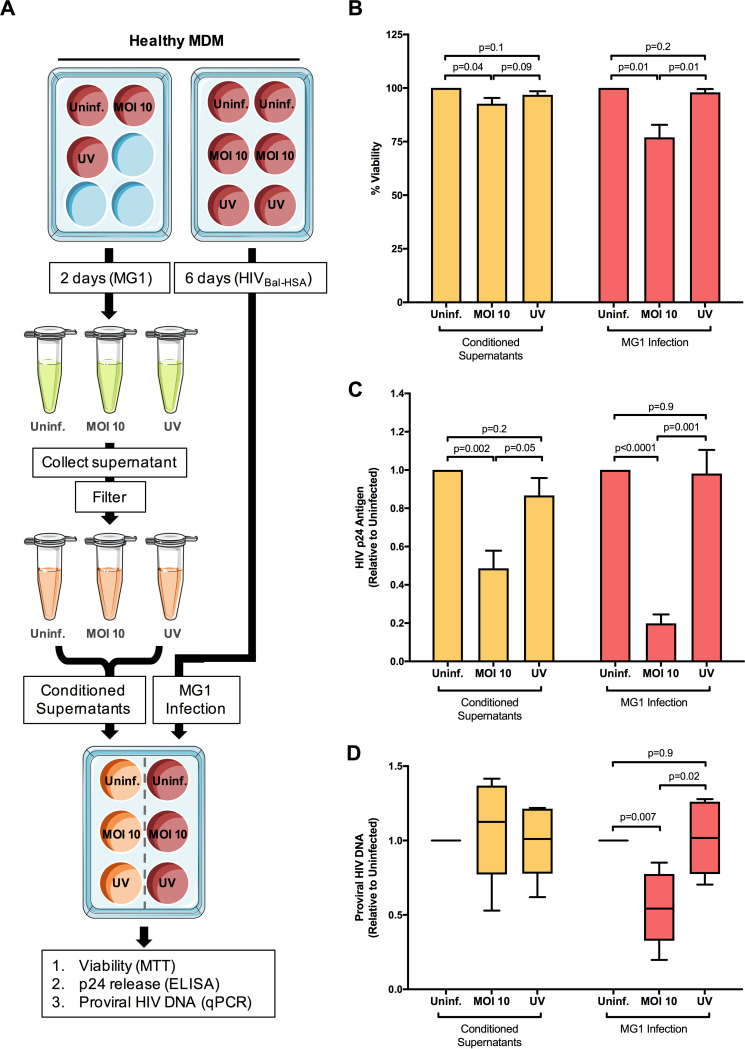 FIG 4