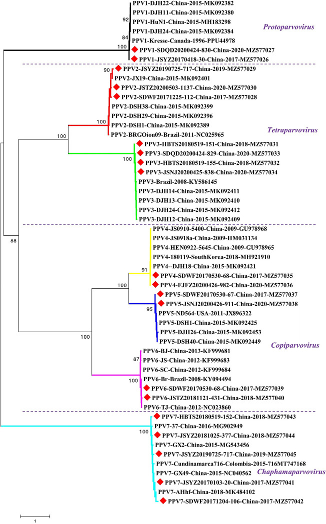 FIG 3