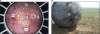 FIG. 17.