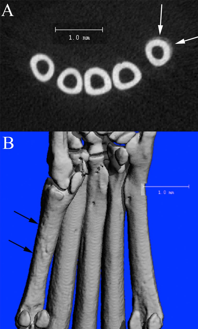 Fig 10