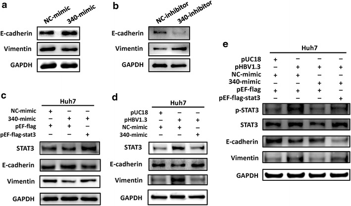 Fig. 6