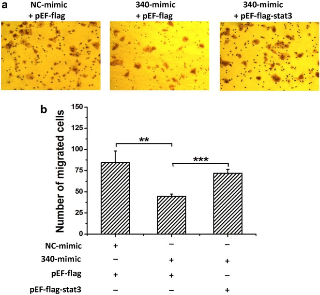 Fig. 4