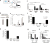 Extended Data Figure 1