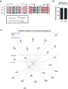 Extended Data Figure 6