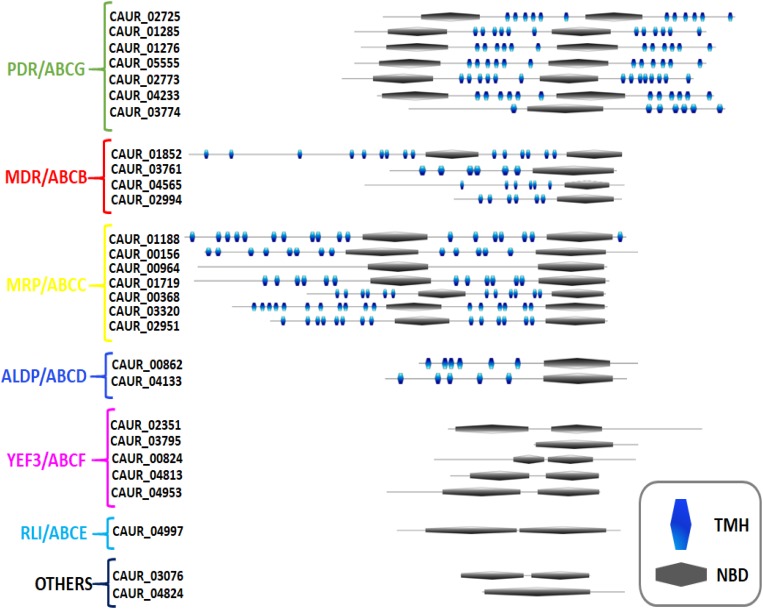 FIGURE 2