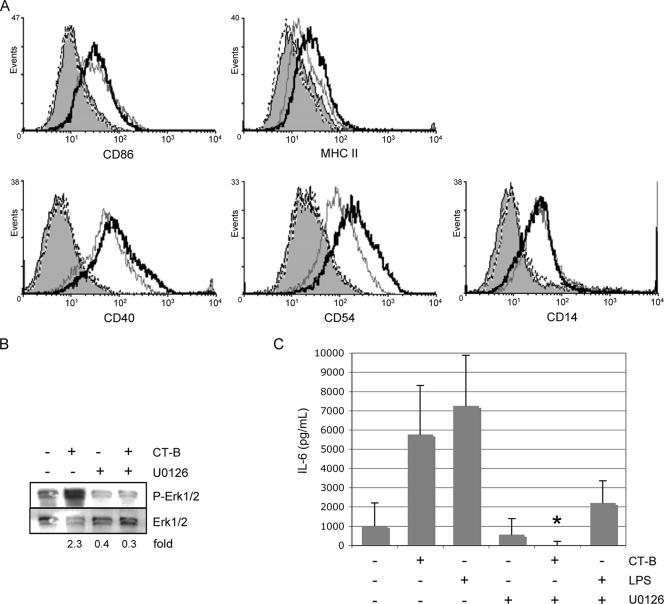 FIG. 6.