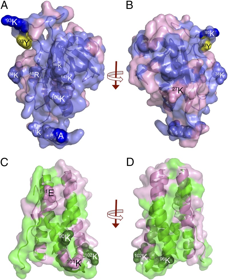 Fig. 5.