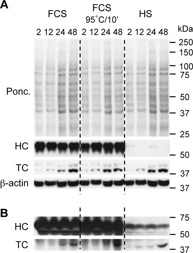 Fig 5